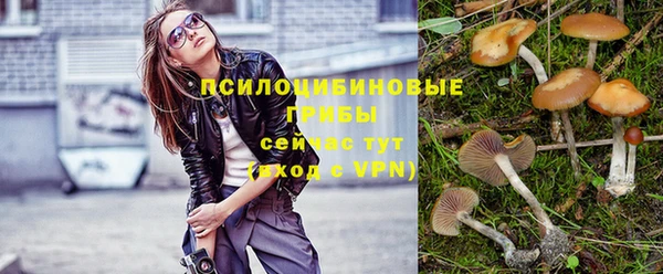 круглые Осинники