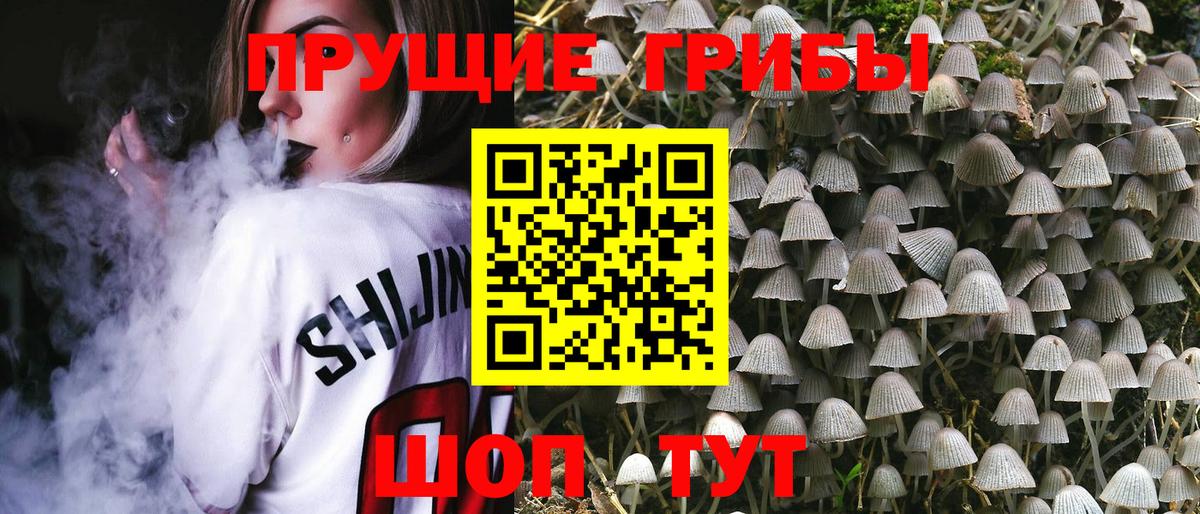 Галлюциногенные грибы мицелий Искитим