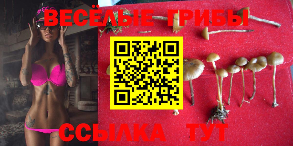 Искитим  Галлюциногенные грибы прущие грибы  Псилоцибиновые грибы Psilocybe  Вход с VPN 