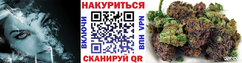 где продают   Искитим  Конопля планчик 